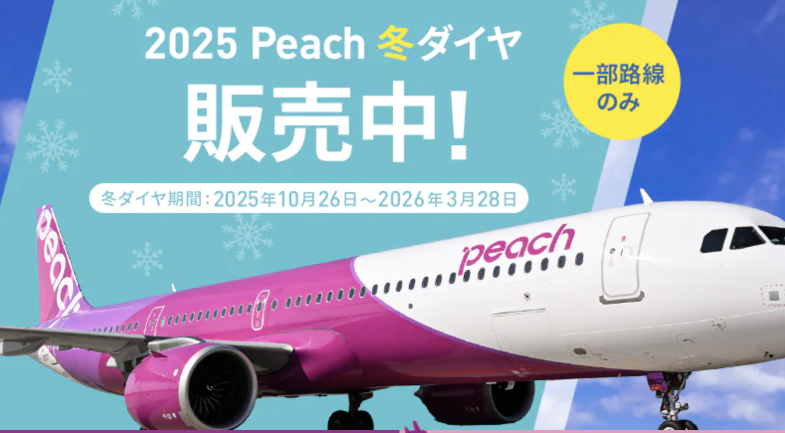 2026年版】ピーチ（Peach）は国際線オンラインチェックインできない